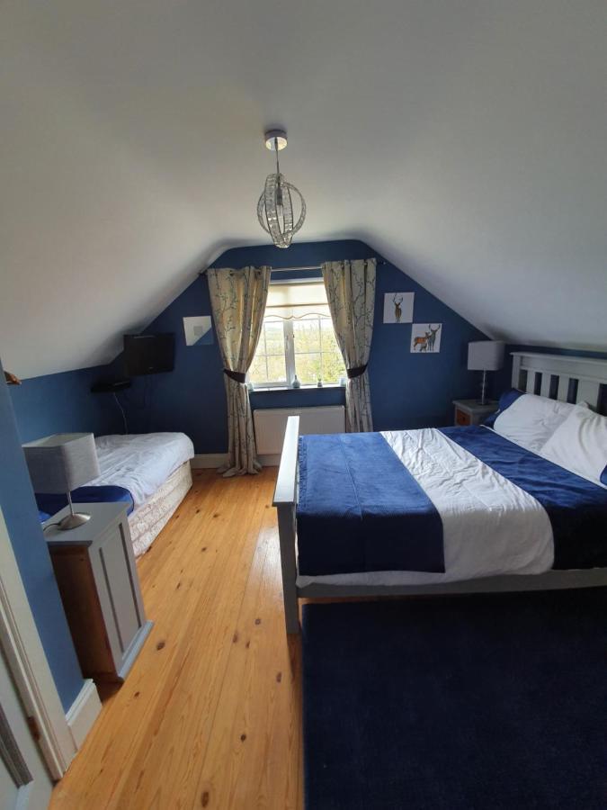 Highfield House Bed And Breakfast Collinstown Collinstown  Luaran gambar