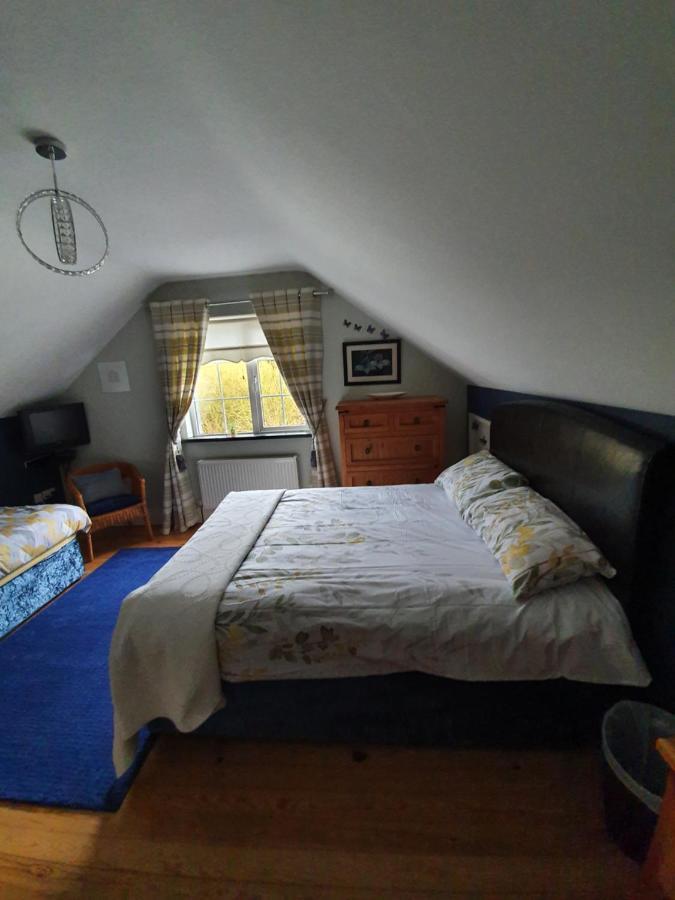 Highfield House Bed And Breakfast Collinstown Collinstown  Luaran gambar