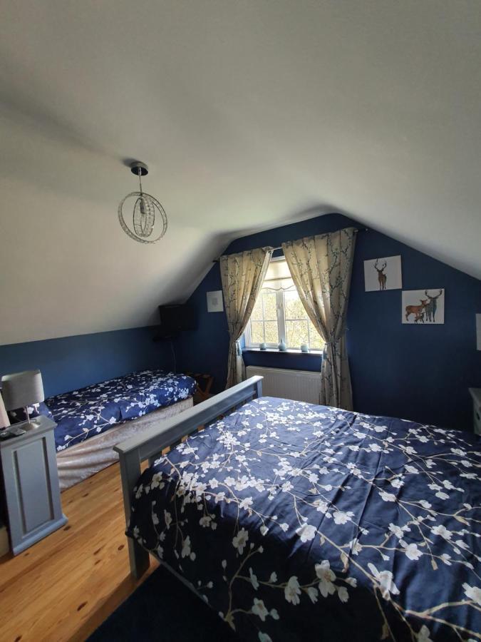 Highfield House Bed And Breakfast Collinstown Collinstown  Luaran gambar