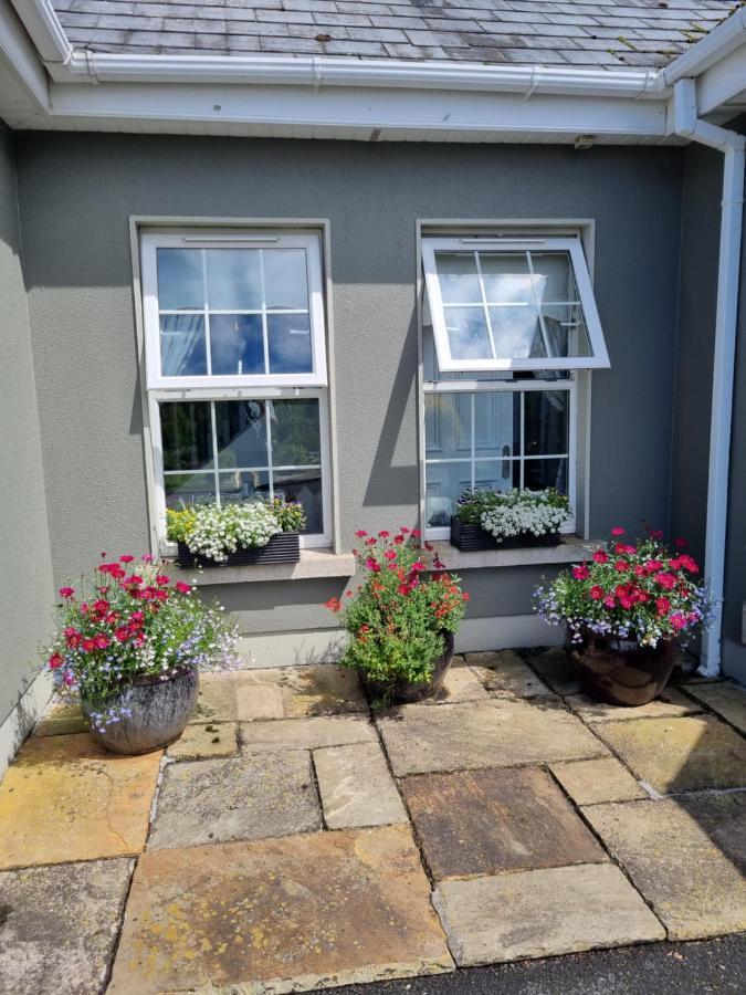 Highfield House Bed And Breakfast Collinstown Collinstown  Luaran gambar