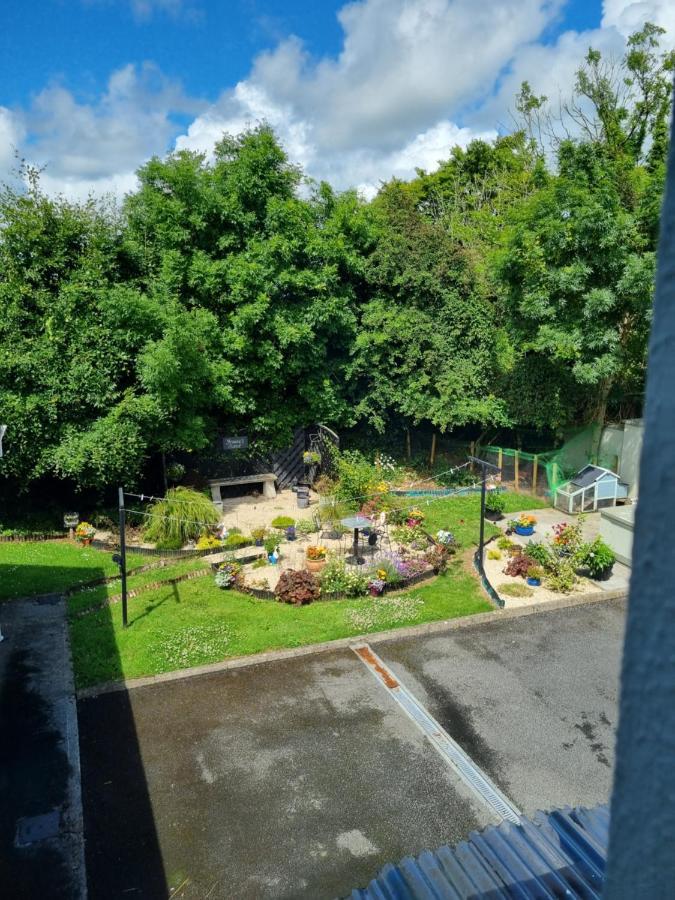 Highfield House Bed And Breakfast Collinstown Collinstown  Luaran gambar