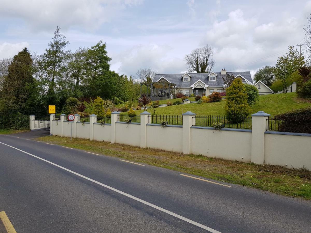 Highfield House Bed And Breakfast Collinstown Collinstown  Luaran gambar